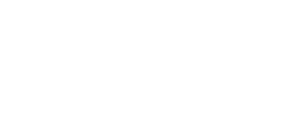 Fortaleza Taz Group